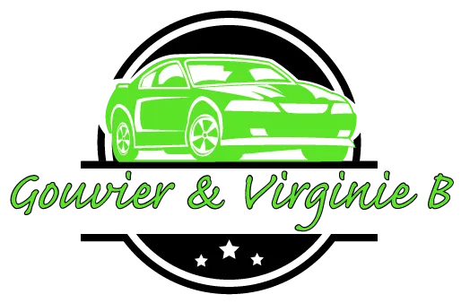 Logo Gouvier et Virginie B